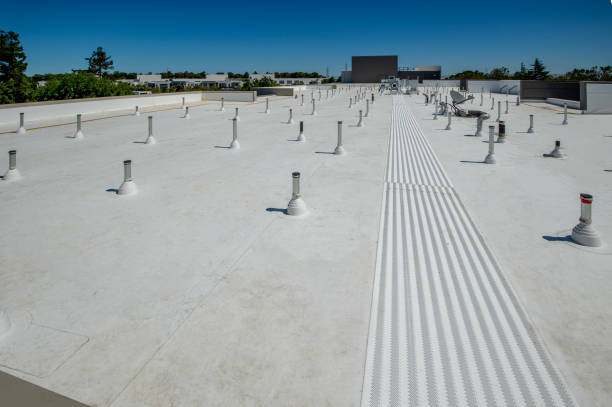 Best Steel Roofing  in Maroa, IL